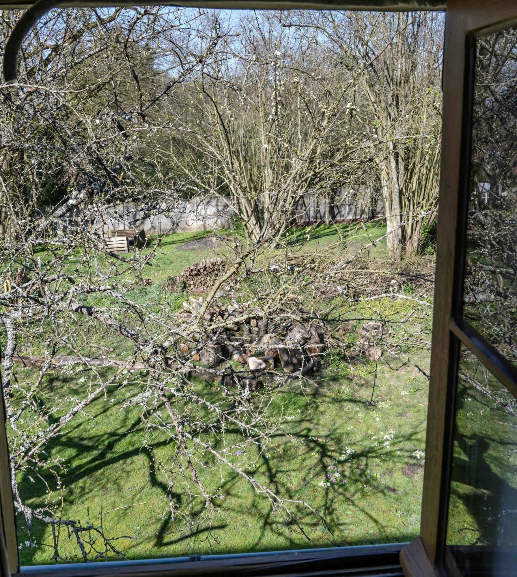 Aux Passiflores Cempuis Exteriör bild